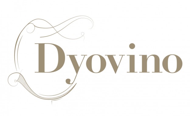 logo dyovino test avis