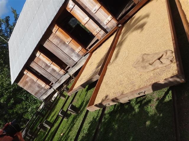 guadeloupe café habitation la grivelière