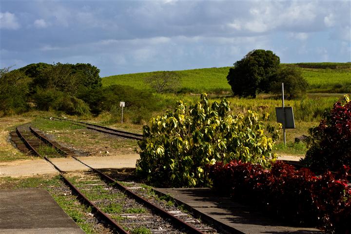 guadeloupe plantation