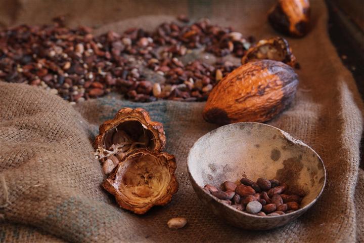 guadeloupe cacao