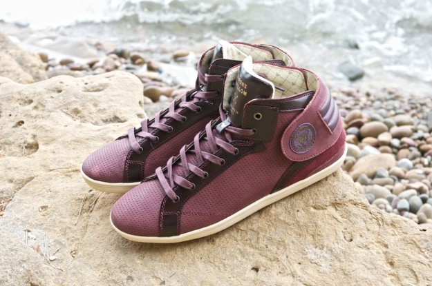 baron papillom  7