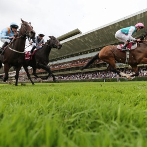 90439094_o 90439094_o