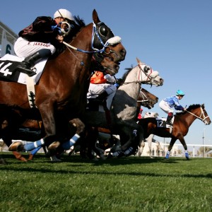 new_060082012_1(main _in) course chevaux