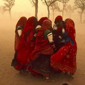 stevemccurry460