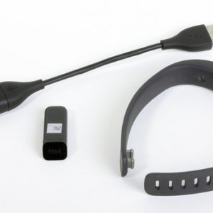 kit fitbit flex kit fitbit flex