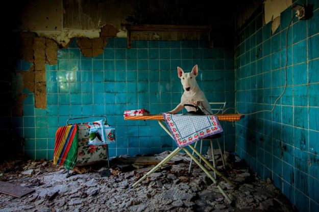 Alice-van-Kempen-urbex-chien-spanky-few Photographie urbex